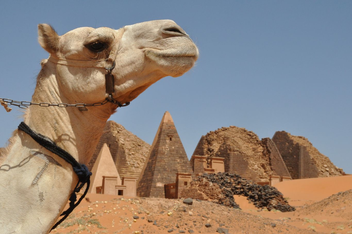Судан приглашает россиян развивать туризм