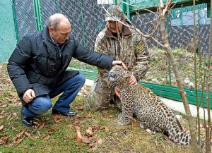 путин с леопардом