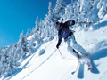В Сибири появится конкурент горнолыжного курорта Шерегеш