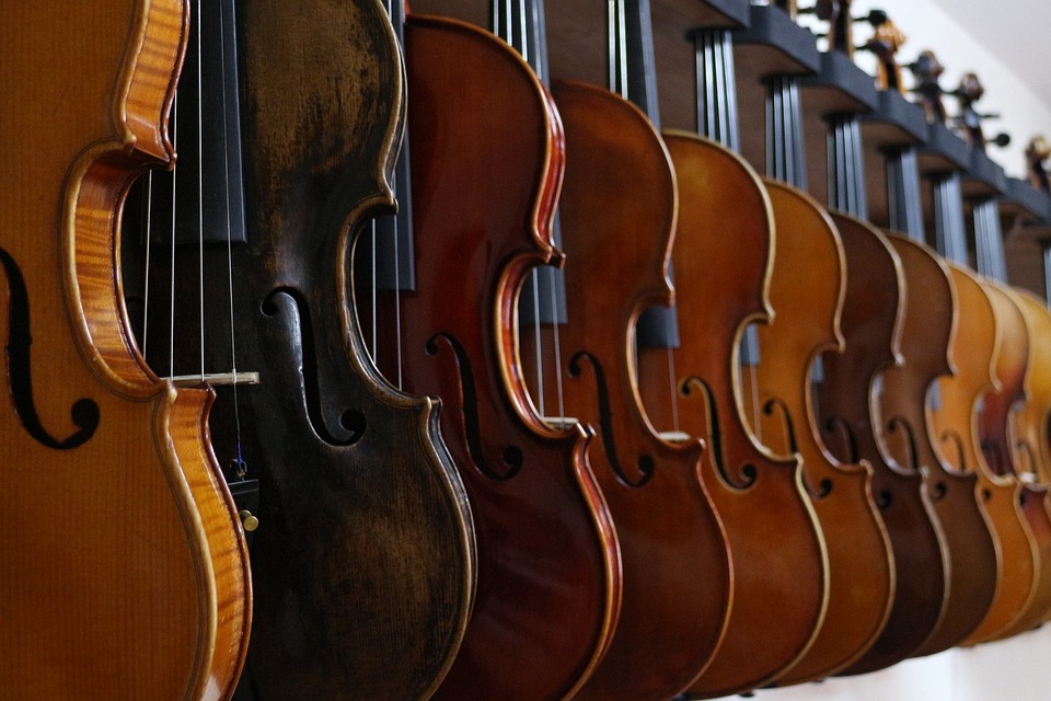 Альты и виолончели прозвучат на выставке скрипичных мастеров в Петербурге