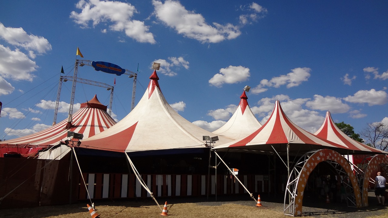 Международный фестиваль «Принцесса цирка» пройдет в Саратове