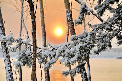 Первое зимнее утро Сибири