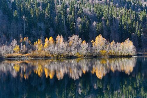 Кардыва́ч — одно из красивейших и второе по величине озеро в Краснодарском крае